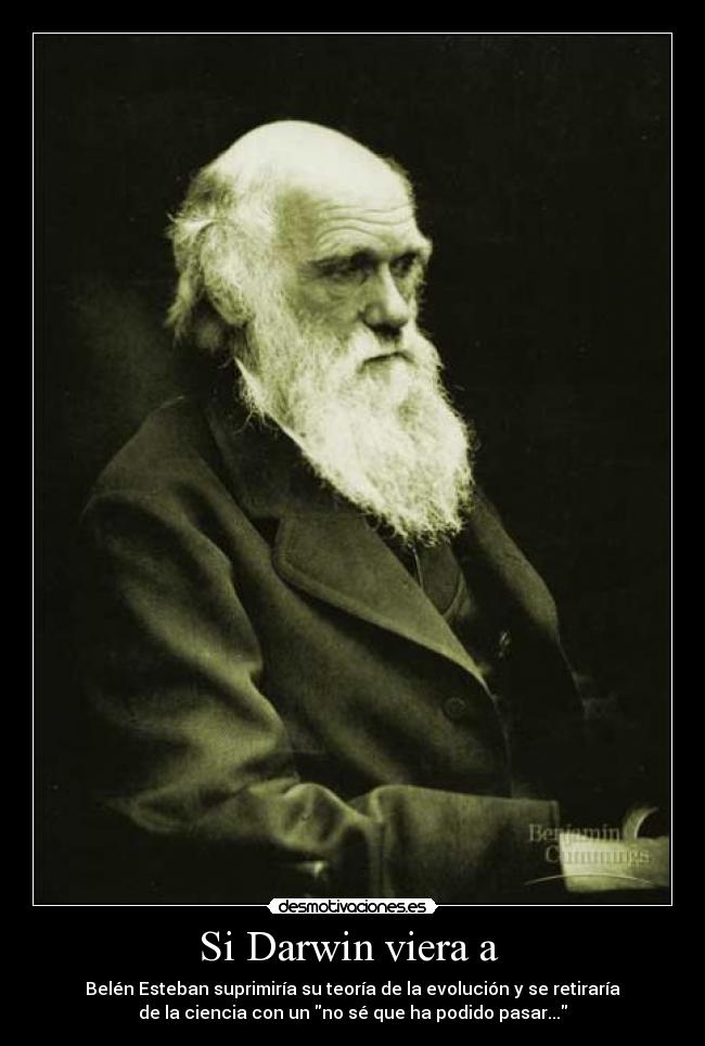 Si Darwin viera a  - Belén Esteban suprimiría su teoría de la evolución y se retiraría
de la ciencia con un no sé que ha podido pasar...