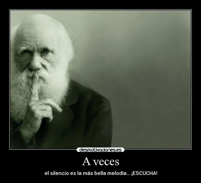 A veces - el silencio es la más bella melodía... ¡ESCUCHA!