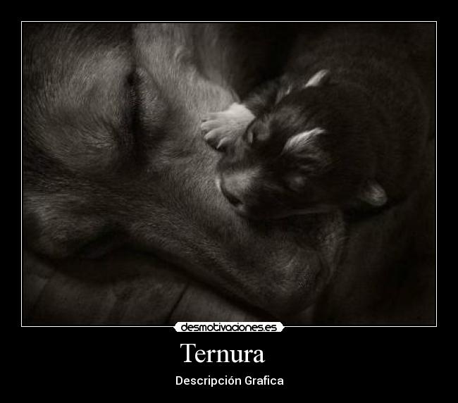 Ternura -