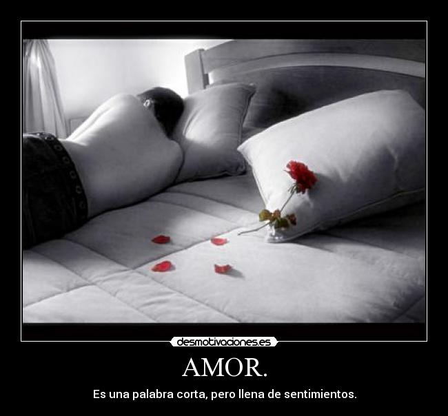 AMOR. -