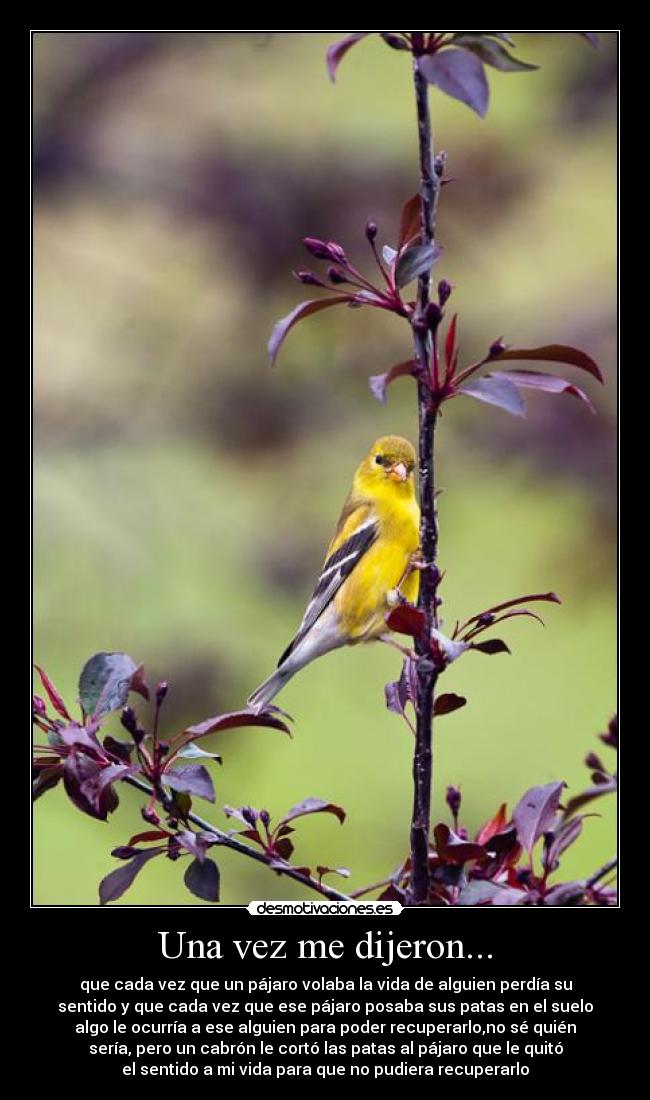 Una vez me dijeron... - 