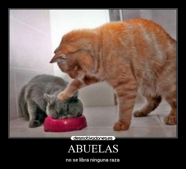 ABUELAS - no se libra ninguna raza