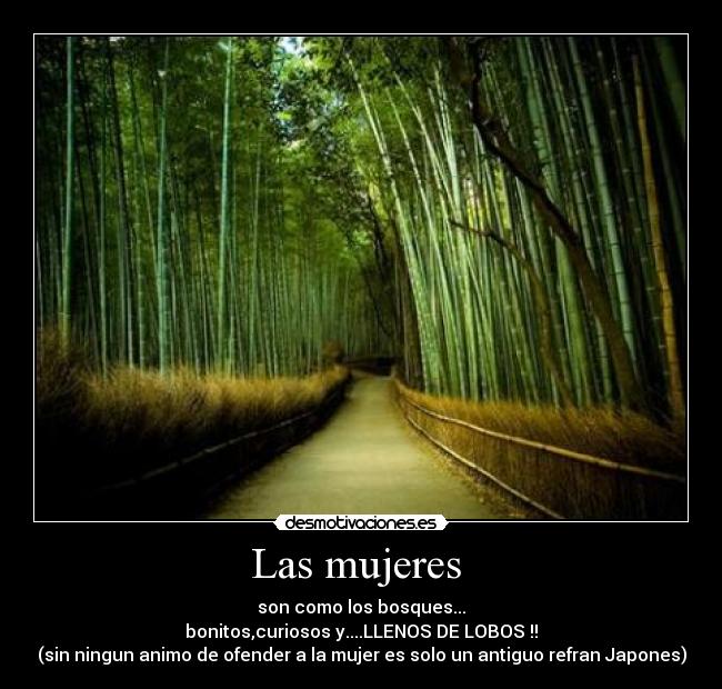 Las mujeres - son como los bosques...
bonitos,curiosos y....LLENOS DE LOBOS !!
(sin ningun animo de ofender a la mujer es solo un antiguo refran Japones)