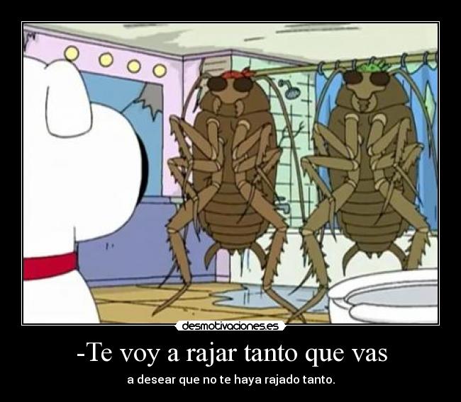 carteles cucarachas asesinas desmotivaciones