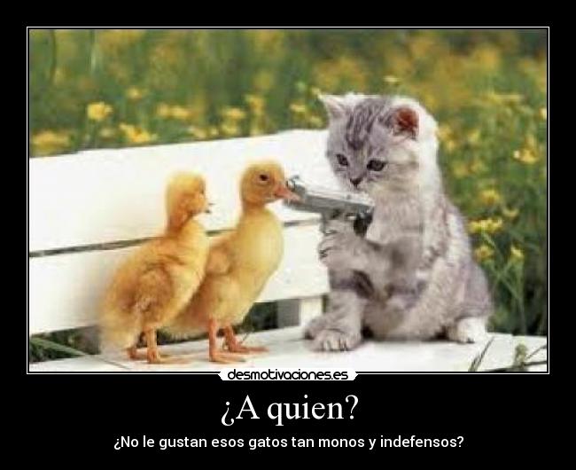 ¿A quien? - ¿No le gustan esos gatos tan monos y indefensos?