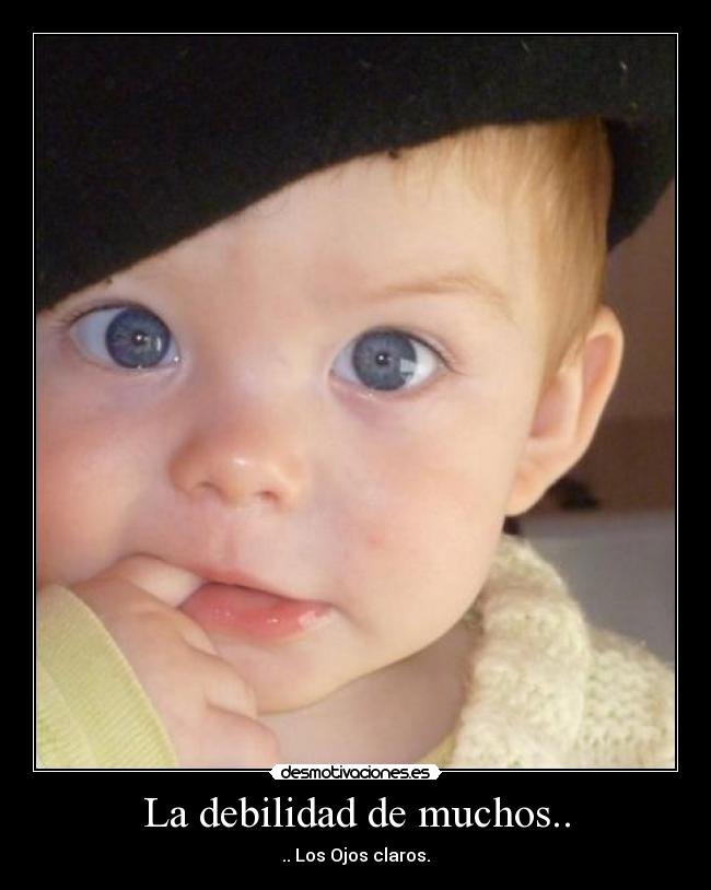 La debilidad de muchos.. - .. Los Ojos claros.