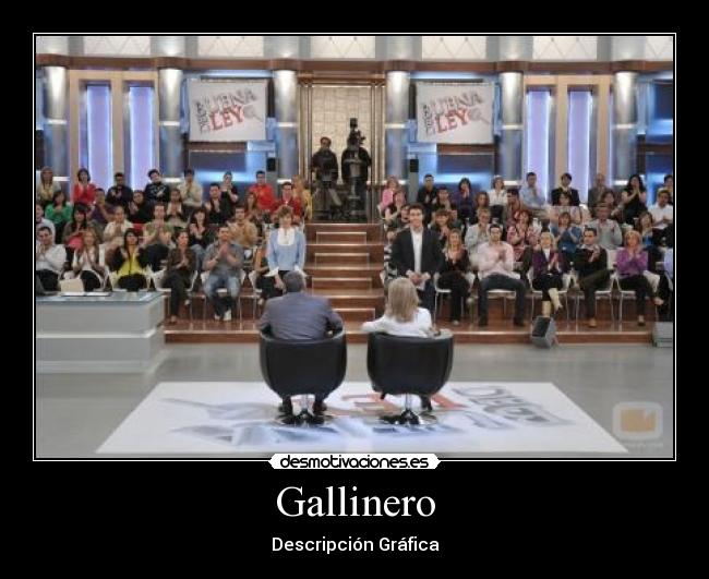 Gallinero - Descripción Gráfica