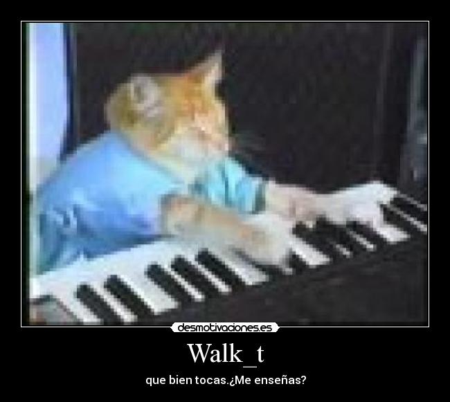 Walk_t - que bien tocas.¿Me enseñas?