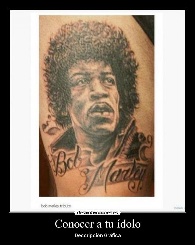 Conocer a tu ídolo - Descripción Gráfica