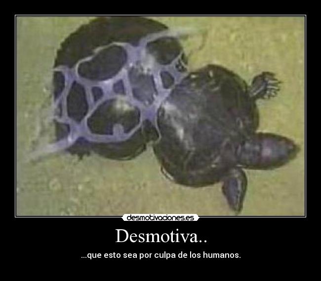Desmotiva.. - 