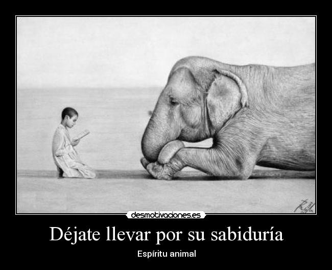 Déjate llevar por su sabiduría -