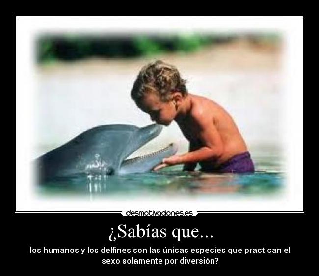 ¿Sabías que... - los humanos y los delfines son las únicas especies que practican el
sexo solamente por diversión?