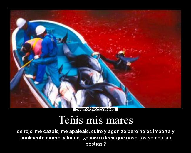 Teñis mis mares - de rojo, me cazais, me apaleais, sufro y agonizo pero no os importa y
finalmente muero, y luego.. ¿osais a decir que nosotros somos las
bestias ?