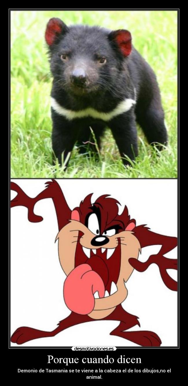 Porque cuando dicen - 