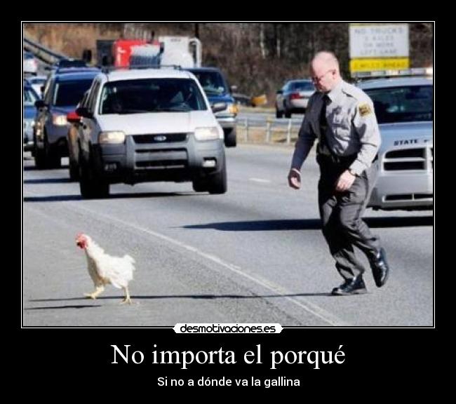 No importa el porqué - Si no a dónde va la gallina