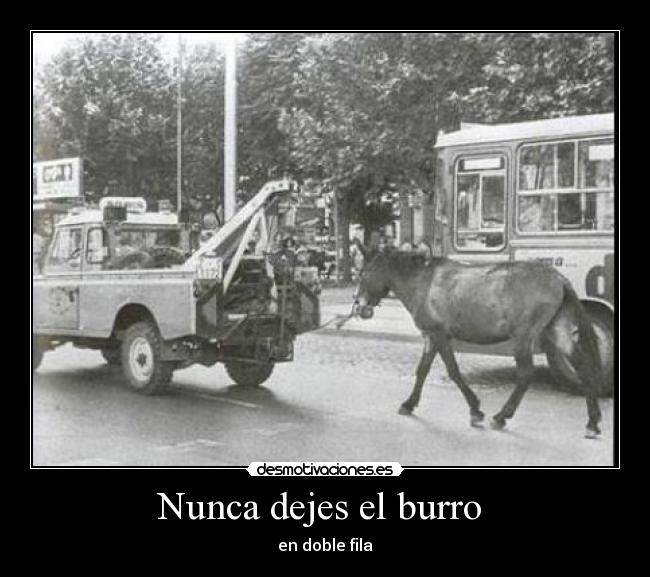 Nunca dejes el burro  - 