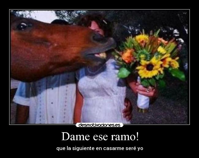 Dame ese ramo! - 