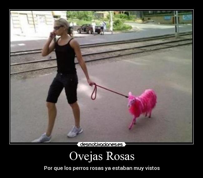 Ovejas Rosas - Por que los perros rosas ya estaban muy vistos