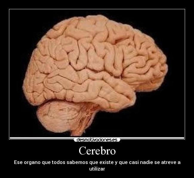 Cerebro -