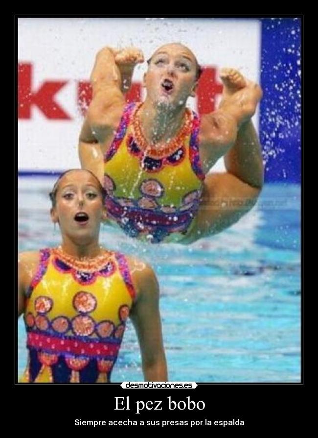 El pez bobo - Siempre acecha a sus presas por la espalda