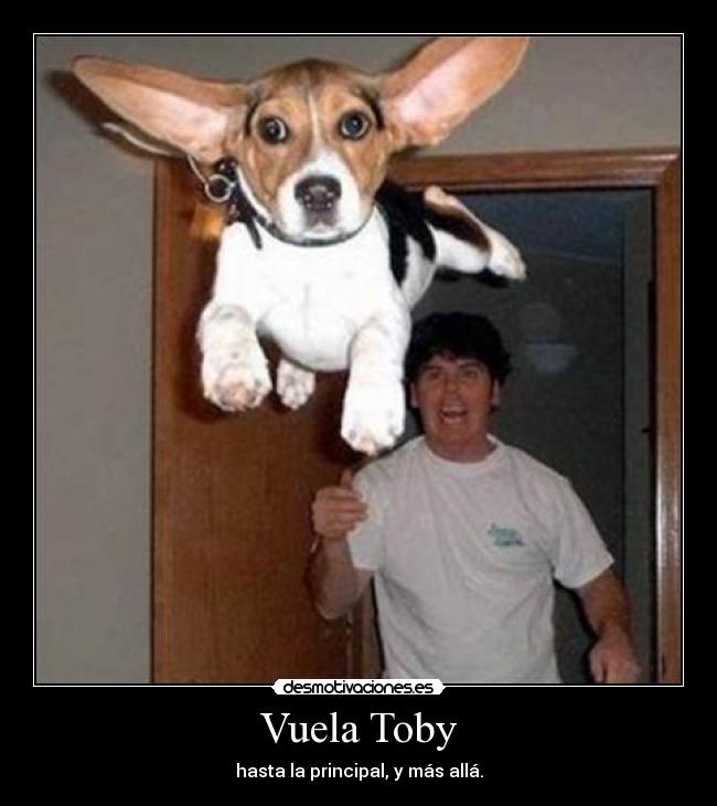 Vuela Toby -