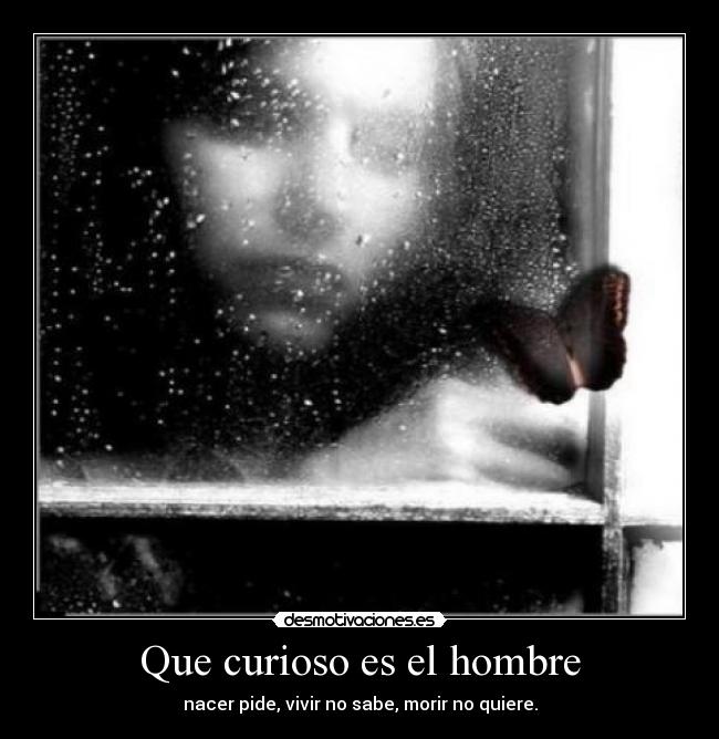 Que curioso es el hombre -