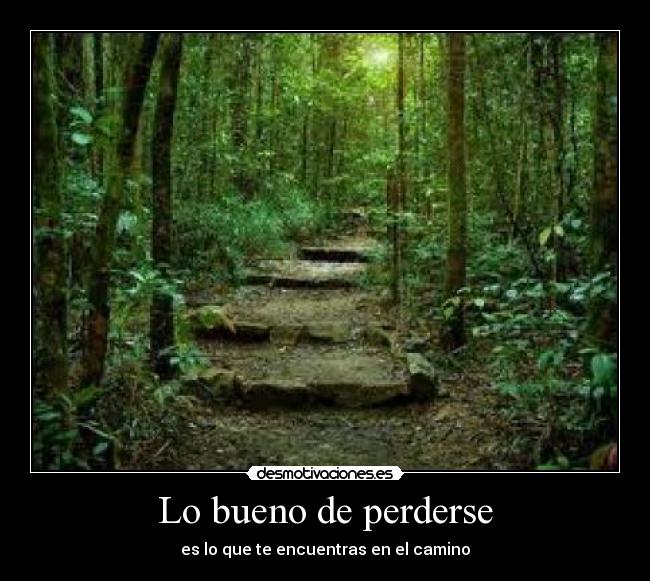 Lo bueno de perderse - es lo que te encuentras en el camino
