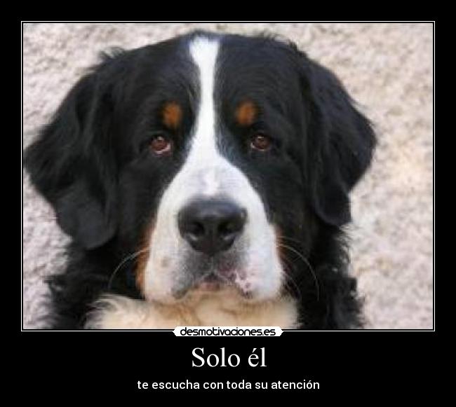 Solo él - 