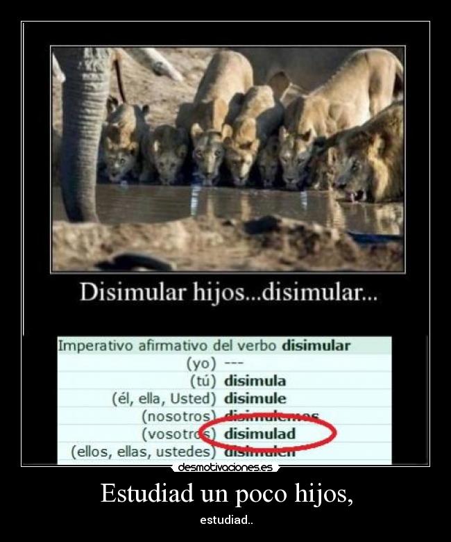 Estudiad un poco hijos, - estudiad..