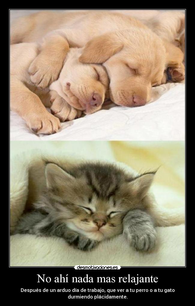 No ahí nada mas relajante -