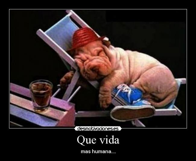 Que vida -