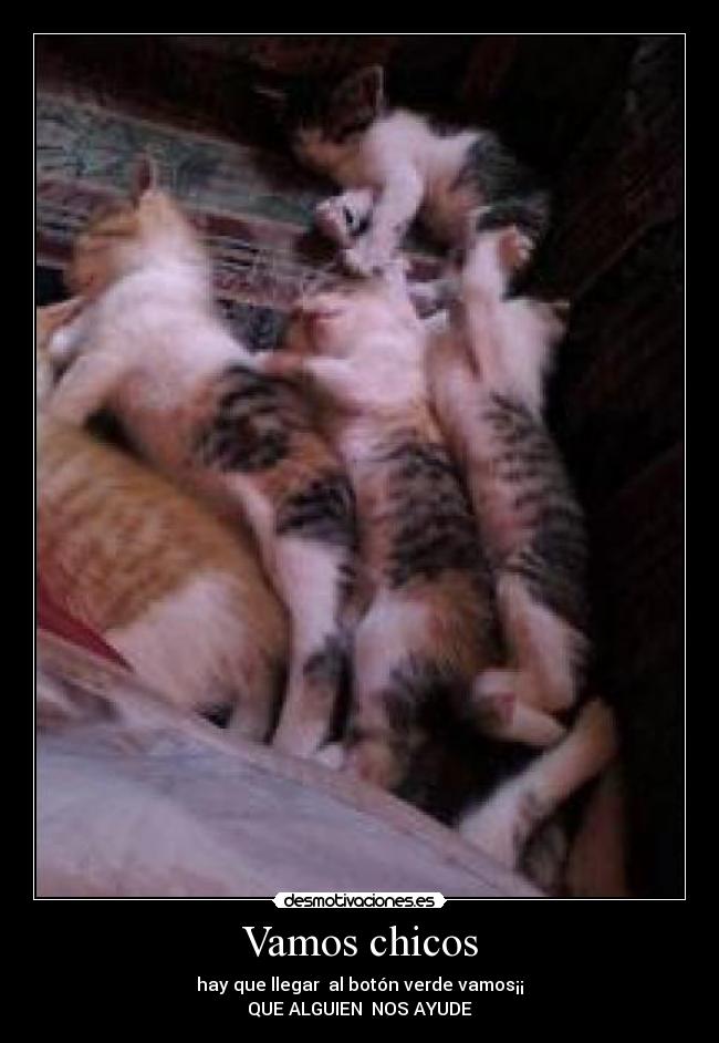 Vamos chicos - hay que llegar  al botón verde vamos¡¡
QUE ALGUIEN  NOS AYUDE