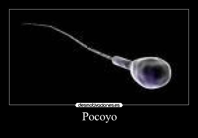 Pocoyo - 