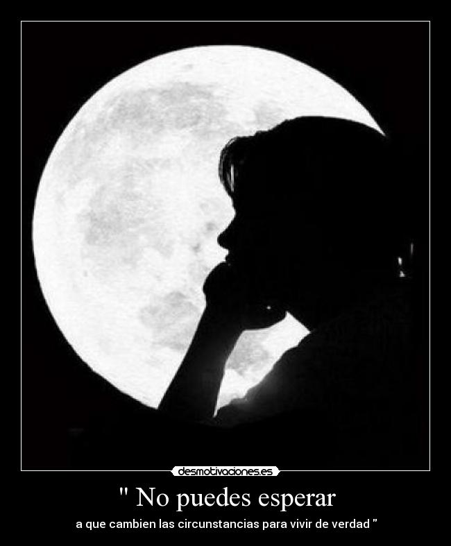 carteles wwwdesmotivacioneses desmotivaciones