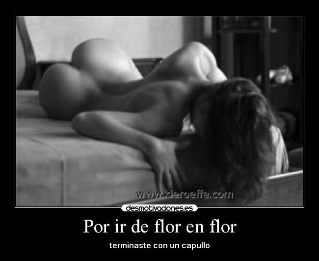 Por ir de flor en flor - 