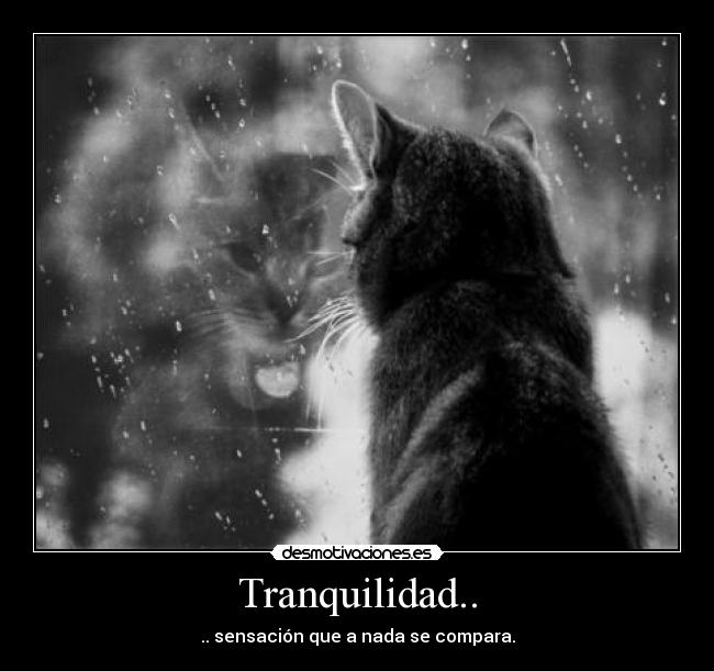Tranquilidad.. - .. sensación que a nada se compara.