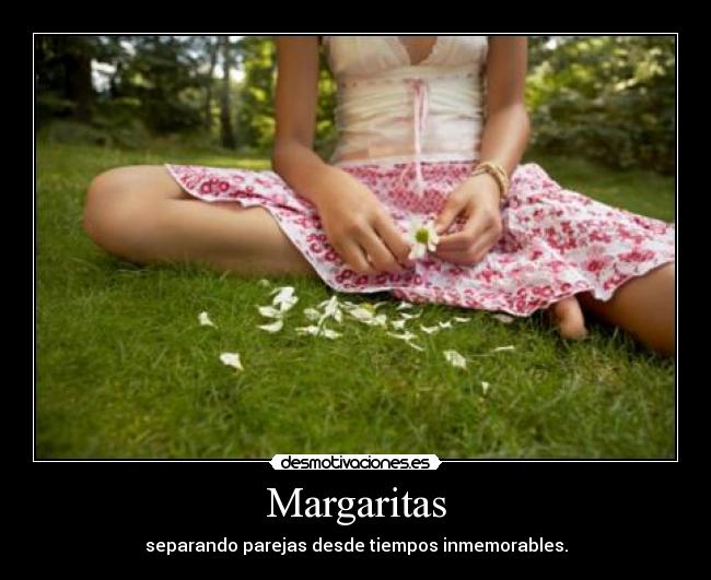 Margaritas - 