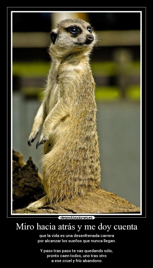 Miro hacia atrás y me doy cuenta -