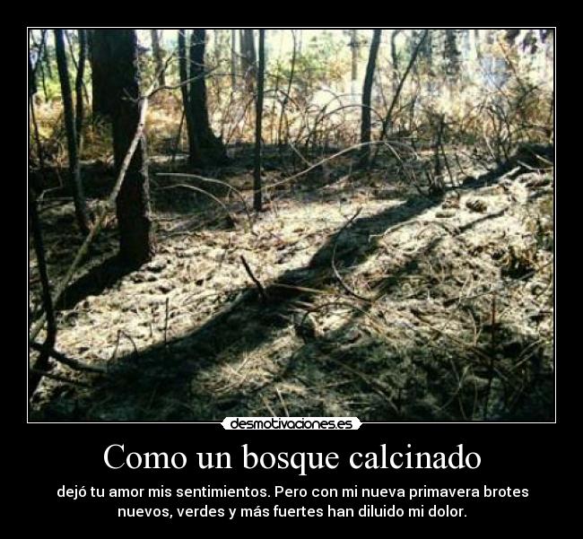 carteles reloba desmotivaciones