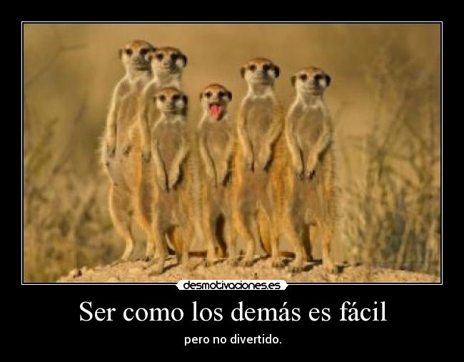 carteles reloba desmotivaciones