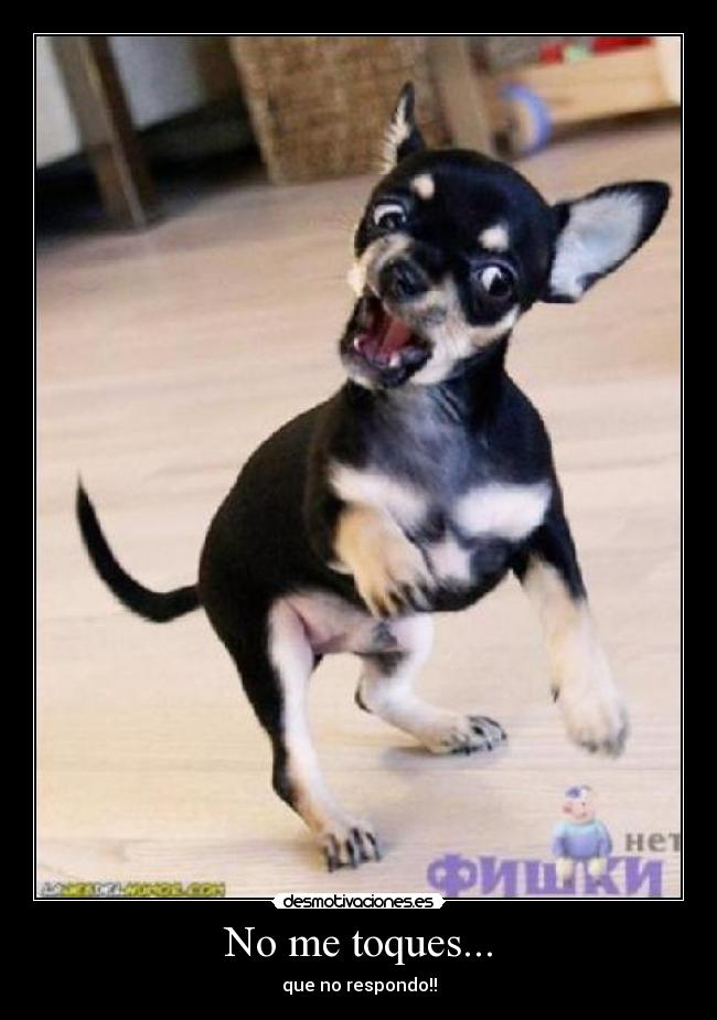 No me toques... -