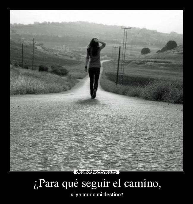 carteles rocy97 desmotivaciones