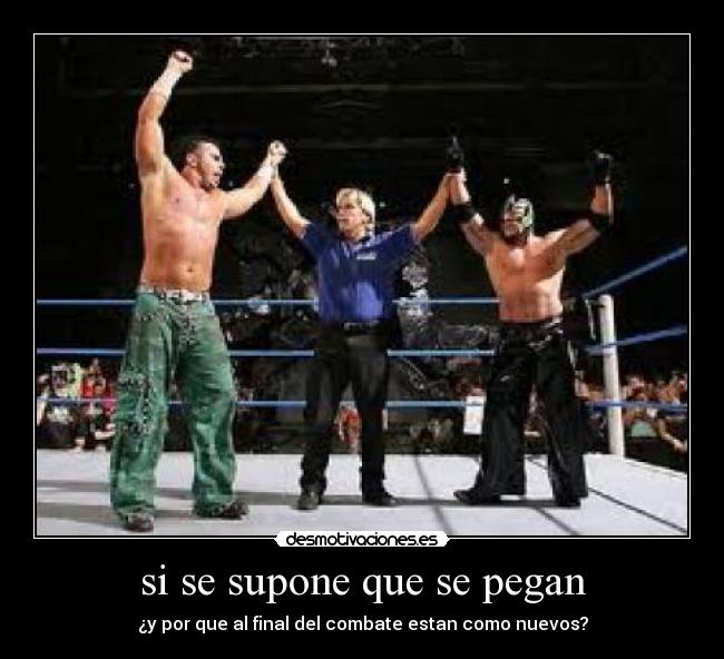 si se supone que se pegan - ¿y por que al final del combate estan como nuevos?