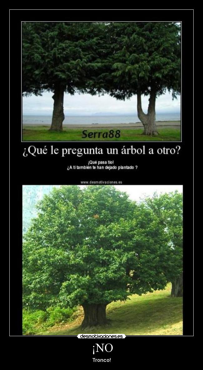 ¡NO - Tronco!