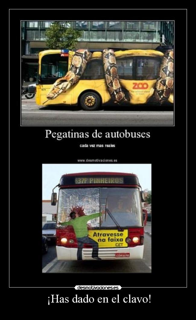 ¡Has dado en el clavo! - 