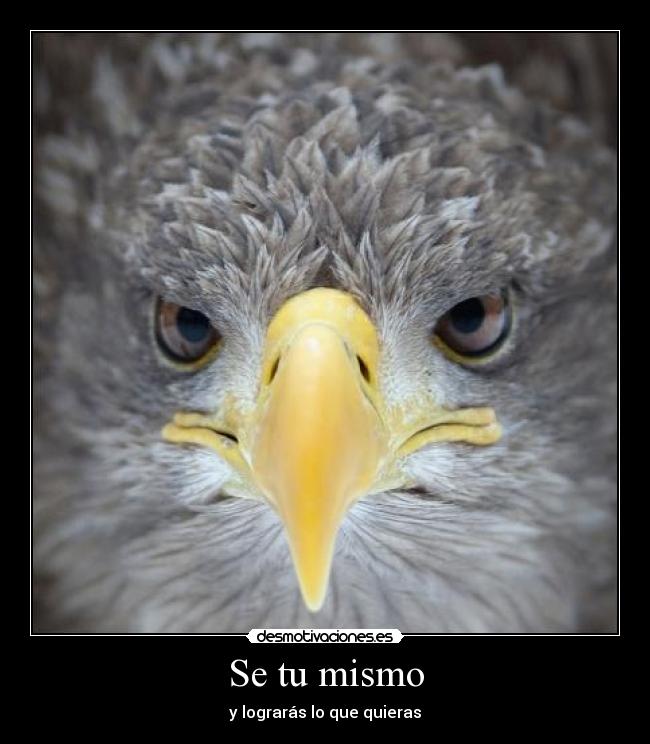 Se tu mismo - y lograrás lo que quieras