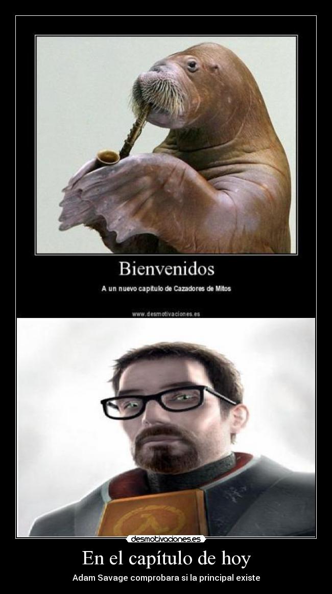 carteles respuesta gordon freeman adam savage jamie hayneman cazadores mitos desmotivaciones