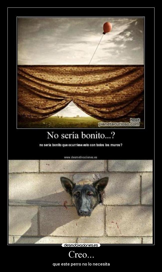 Creo... - que este perro no lo necesita