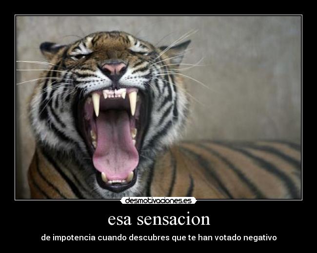 carteles ssllbl desmotivaciones