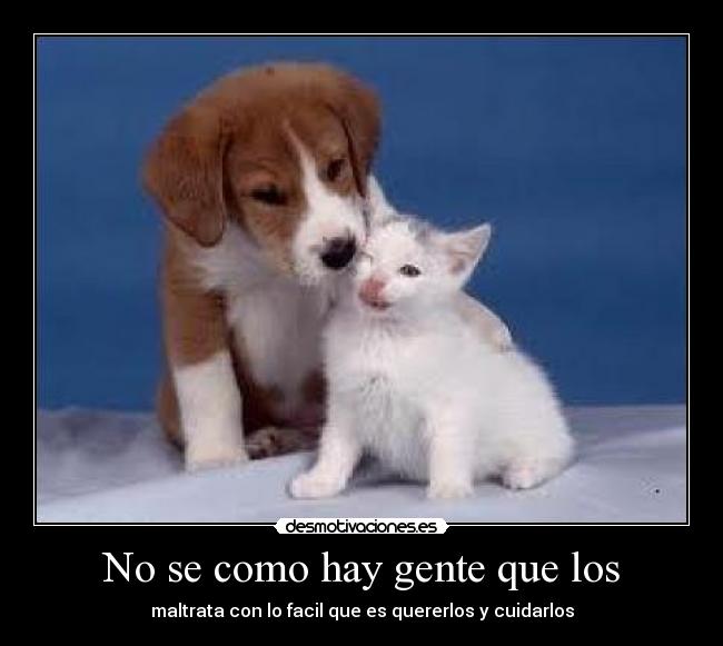 No se como hay gente que los - 